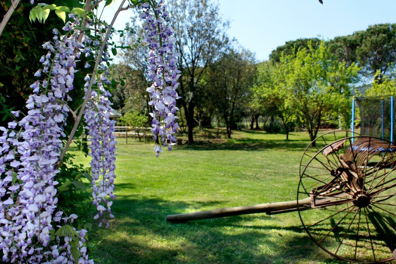 Agriturist Prile Castiglione della Pescaia Exterior foto
