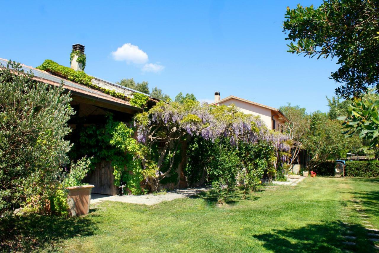 Agriturist Prile Castiglione della Pescaia Exterior foto
